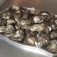 Huitres fraiches à griller