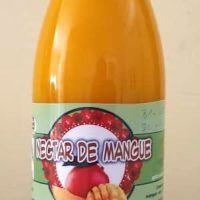 Nectar de mangue (verre)